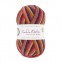 West Yorkshire Spinners Signature 4 ply Zandra Rhodes Collection